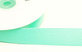 E077 25mm (1" inch) Aqua Mint Coloured Woven Flat Elastic.
