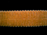 FT1402 23mm Caramel Soft Chenille Braid Trimming - Ribbonmoon