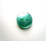 B17390 11mm Pale Jade Green Polyester Shirt Type 2 Hole Button - Ribbonmoon