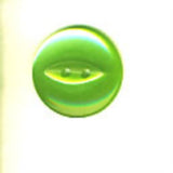 B16975 23mm Pale Meadow Green Polyester Fish Eye 2 Hole Button - Ribbonmoon