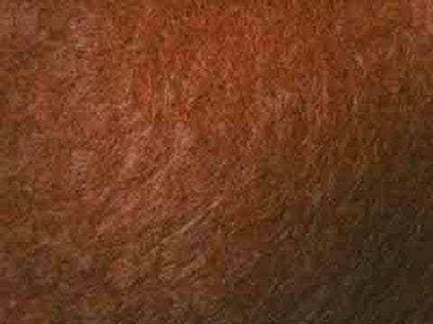 FELT85 9" Inch Hot Chocolate Brown Felt Sqaure, 30% Wool, 70% Viscose - Ribbonmoon