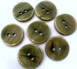 Green Grey Pearlised Surface with an Iridescence 15mm 2hole button