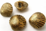 B2633 17mm Antique Brass Metallic Effect Poly Seashell Shank Button
