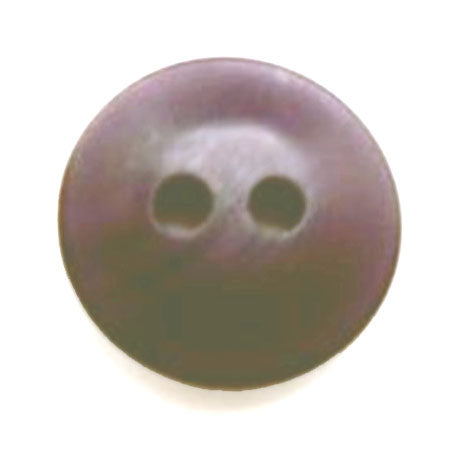 B10166 15mm Blackberry Soft Sheen 2 Hole Button