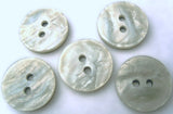 18mm Grey-Iridescent Mother of Pearl Effect 2 Hole Button