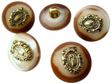 17mm Brown, Cream & Gilded Antique Brass Poly Shank Button
