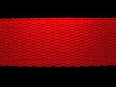 WEB12 21mm Red Polypropylene Webbing