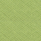 BB334 25mm Willow Green 100% Cotton Bias Binding Tape
