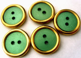 B0751 18mm Parakeet Shell Effect Centre and a Metal Gold Rim 2 Hole Button - Ribbonmoon