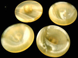 B0800C 23mm Tonal Lemon Cream Shank Buttons - Ribbonmoon