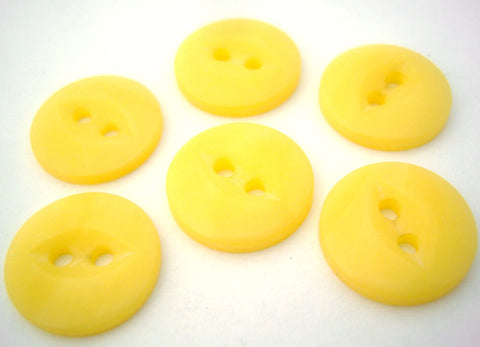 B10358 16mm Jasmine 2 Hole Polyester Fish Eye Button