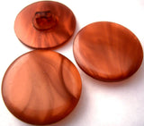 B1104 25mm Tonal Redwood Browns Polyester Shank Button - Ribbonmoon