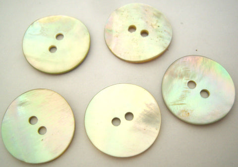 B13487 20mm  Iridescent Akoya Shell Two Hole Button