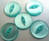 B16900 16mm Turquoise Polyester Fish Eye 2 Hole Button - Ribbonmoon