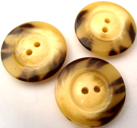 B2381 31mm Creams and Dark Brown Gloss 2 Hole Button - Ribbonmoon