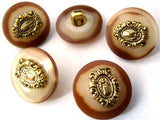 B2530 17mm Brown, Cream and Gilded Antique Brass Poly Shank Button - Ribbonmoon