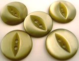 B9062 16mm Pale Sage Green 2 Hole Polyester Fish Eye Button - Ribbonmoon