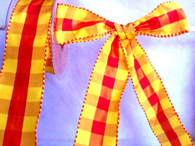 R1505 40mm Red and Yellow Gingham Ribbon with Satin Banded Borders - Ribbonmoon