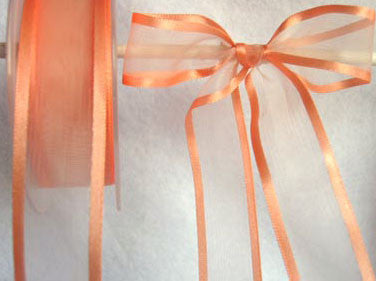 R1554 26mm Apricot Sheer Ribbon with Satin Borders - Ribbonmoon