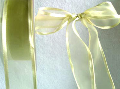 R4375 26mm Eau De Nil Green Sheer Ribbon with Satin Borders - Ribbonmoon