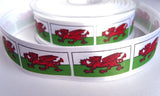 R6610 25mm Welsh-Wales National Flag Printed Satin Ribbon