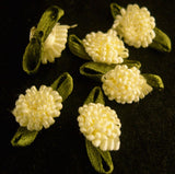 RB236 Pale Primrose Ribbon Cluster Bow Bud