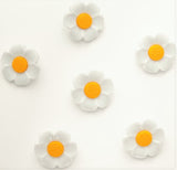 B18180 23mm White and Yellow Daisy Flower Novelty Shank Button
