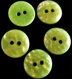 B6982 18mm Green Tonal Mother of Pearl Look 2 Hole Button