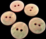 B8466 18mm Pale Pink Tonal Mother of Pearl Look 2 Hole Button