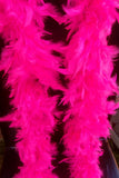 Feather Boa Fluorescent Pink Approx 1.7 metres Long