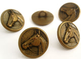 B18071 15mm Antique Brass Metal Horses Head Shank Button