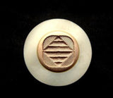 B6501 18mm Cream and Gilded Dull Gold Poly Shank Button - Ribbonmoon