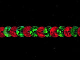 SQC38 6mm Red and Green Hologram Strung Sequins - Ribbonmoon