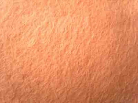 FELT129 24" Inch Peach Melba Felt Sqaure, 30% Wool, 70% Viscose - Ribbonmoon