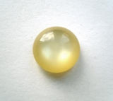 B5675 14mm Burnt Yellow Domed Pearlised Shank Button - Ribbonmoon