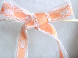 R3284 38mm White Lace over a Deep Apricot Acetate Grosgrain - Ribbonmoon
