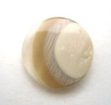 B16423 18mm Beiges, Browns and Clear Semi Pearlised Shank Button - Ribbonmoon