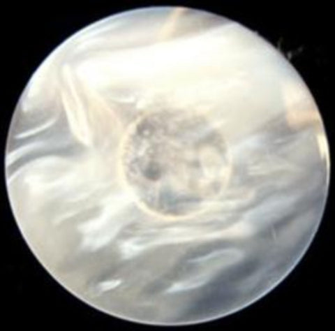 B8400 Pearlised Ivory Shimmery Pearlised Shank Button - Ribbonmoon