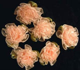 RB454 Pale Peach Sheer Ribbon Carnation Flower Bud Bow