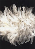 Feather Boa White Approx 2 metres Long