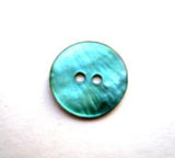 B13319 12mm Malibu Blue Akoya Shell 2 Hole Button - Ribbonmoon