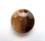 B16020 15mm Aaran Brown Glossy Domed Button, Hole Built into the Back - Ribbonmoon