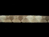 FT1575 - Ribbonmoon