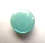 B11679 17mm New Turquoise Polyester Shank Button - Ribbonmoon