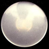B10429 22mm Very Pale Lemon Tint Polyester Shank Button - Ribbonmoon