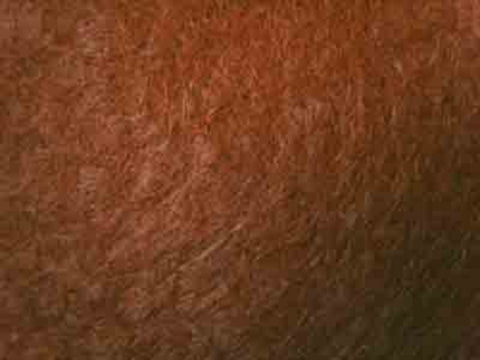 FELT111 12" Inch Hot Chocolate Brown Felt Sqaure, 30% Wool, 70% Viscose - Ribbonmoon