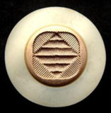 B6503 22mm Cream and Gilded Dull Gold Poly Shank Button - Ribbonmoon