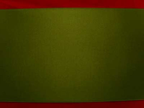R5832 100mm Loden Green Double Faced Satin Ribbon by Berisfords - Ribbonmoon