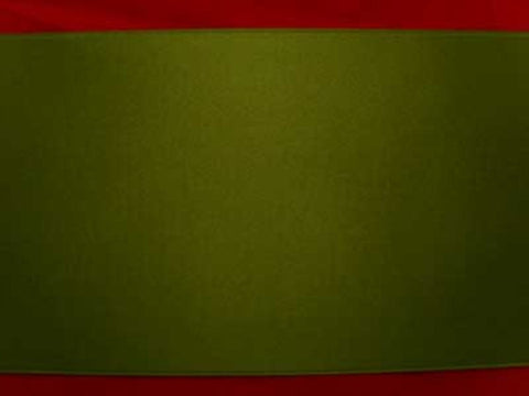R5832 100mm Loden Green Double Faced Satin Ribbon by Berisfords - Ribbonmoon