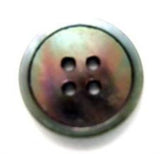 B6080 16mm Iridescent Real Shell 4 Hole Button - Ribbonmoon